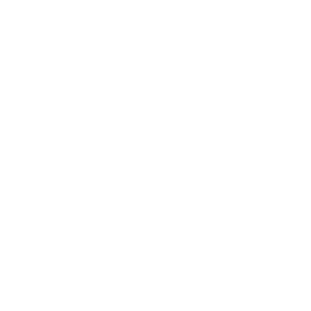 Avitor